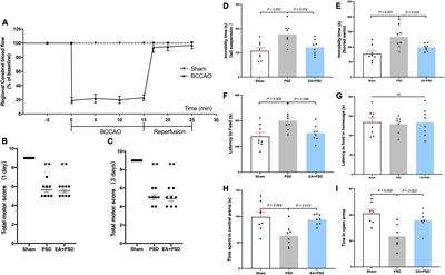 Electroacupuncture treatment ameliorates depressive-like behavior and cognitive dysfunction via CB1R dependent mitochondria biogenesis after experimental global cerebral ischemic stroke